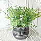Etajera metalica colt, cu 3 suporti flori, alb, 50 x 35 x 120 cm