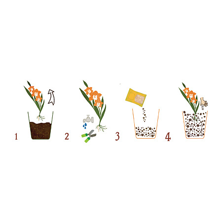 Substrat Dr. Soil, pentru Cymbidium si orhidee, 1 L Substrat Dr. Soil, pentru Cymbidium si orhidee, 1 L