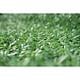 Plasa de gard ornamentala, sarma zincata, verde, grosime fir 2.8 mm, 1.5 x 10 m
