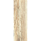 Gresie portelanata Woodart Sand, glazura lucioasa, bej, aspect lemn, dreptunghi, grosime 8 mm, 60 x 20 cm