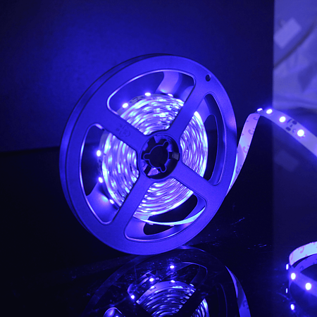 Banda LED Flink, albastru, 60 leduri/m, rola 5 m