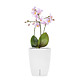 Ghiveci Santino Orchidea Twin, plastic, alb, 2 l, diametru 15 cm, 18 cm