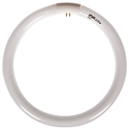 Tub fluorescent Lohuis, circular, 32 W, lumina rece, 296 mm