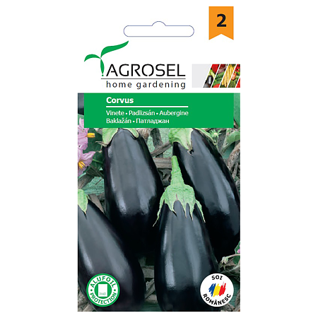 Seminte de vinete, Agrosel Corvus, PG2