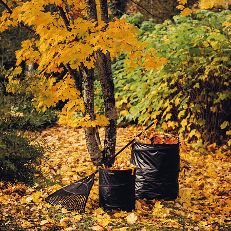 Grebla frunze Fiskars Solid, XL, 1750 mm, aluminiu, negru