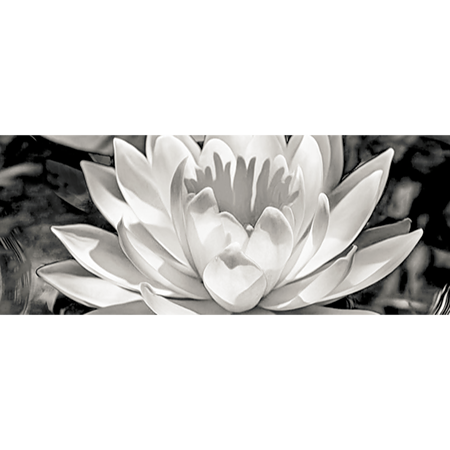 Faianta decorativa Elegy 1, Tip 3, lucioasa, stil elegant, alb/negru, 20 x 50 cm