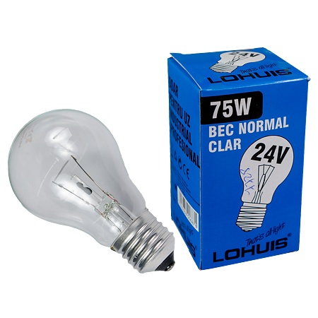 Bec joasa tensiune Lohuis JT, glob, E27, 75 W, 940 lm, lumina calda 2700K