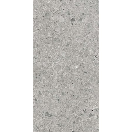 Gresie rectificata interior/exterior Kai Cortina, gri mat, dreptunghiulara, 60 x 120 cm