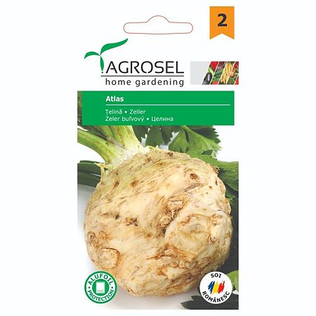 Seminte de telina Atlas Agrosel, 1 g