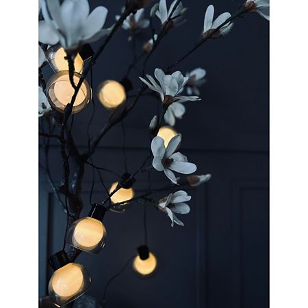 Ghirlanda luminoasa exterior, 10 LED-uri cu lumina calda, 4.7 m