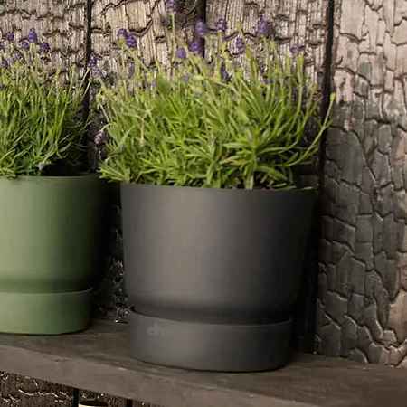 Ghiveci Elho Greenville Round, plastic, negru, diametru 18 cm, 16 cm