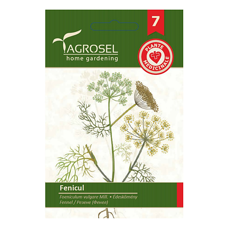 Seminte fenicul Agrosel, 4 g