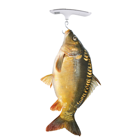 Cantar digital pentru bagaje Emos, 50 kg, gri, 175 × 70 × 45 mm Cantar digital pentru bagaje Emos, 50 kg, gri, 175 × 70 × 45 mm