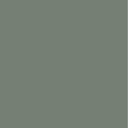 Pal lacuit Egger PerfectSense U604 TM Verde eucalipt, mat, antiamprenta, decor uni, 2800 x 2070 x 19 mm