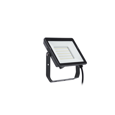 Proiector LED Pila BVP008, 50 W, lumina neutra, 5000 lm, 4000 K