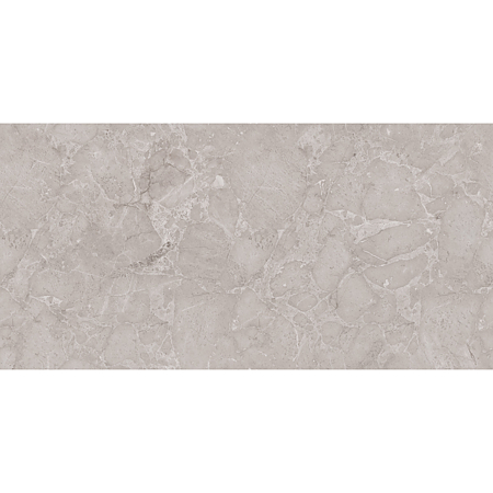 Gresie portelanata interior/exterior Ariana Dove, rectificata, lucios, gri, aspect piatra, 60 x 120 cm