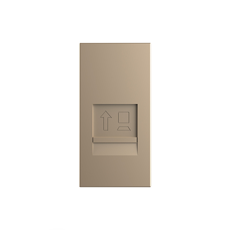 Modul priza retea RJ45 Livolo VL-FCCP-1AP, policarbonat, auriu