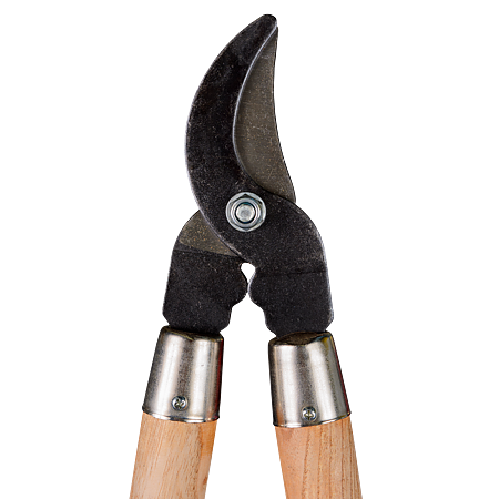 Foarfeca pentru crengi Sparta, manere lemn , 710 mm