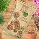 Argila expandata Dr. Soil, 1 L Argila expandata Dr. Soil, 1 L
