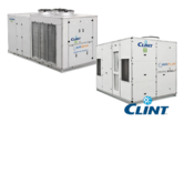 Clint rooftop