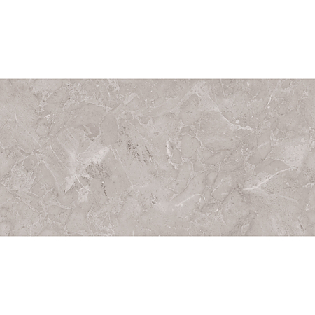 Gresie portelanata interior/exterior Ariana Dove, rectificata, lucios, gri, aspect piatra, 60 x 120 cm