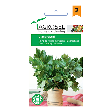 Seminte de telina de frunze, Agrosel Giant Pascal