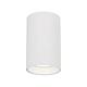 Spot Genesis, 1xGU10, 8 W, aluminiu, alb