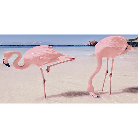 Set 4 placi faianta decorativa Kai Flamingo, finisaj lucios, decor flamingo, 60 x 30 cm