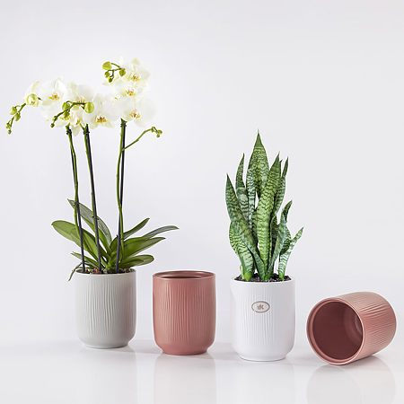 Ghiveci SK Falun Glamour, ceramica, grenadine, diametru 15 cm, 15 cm