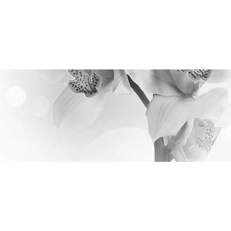 Faianta decorativa Keramin Elegy 7-tip 4, lucioasa, stil elegant, alb/negru, 20 x 50 cm