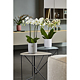 Ghiveci SK Falun Glamour, ceramica, gri deschis mat, diametru 15 cm, 15 cm 