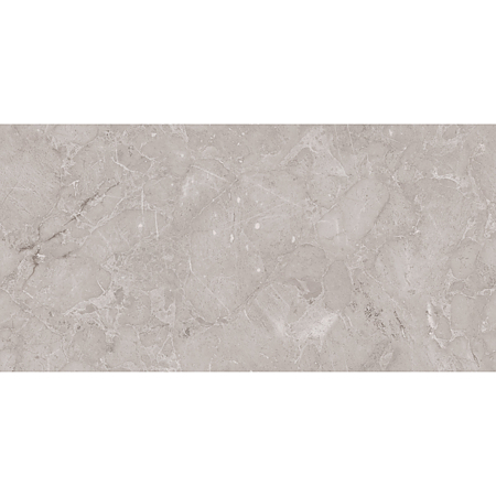 Gresie portelanata interior/exterior Ariana Dove, rectificata, lucios, gri, aspect piatra, 60 x 120 cm