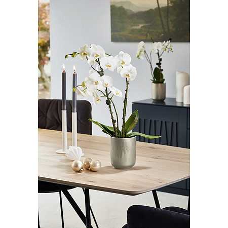 Ghiveci SK Falun Glamour, ceramica, gri bej metalic, diametru 15 cm, 15 cm 
