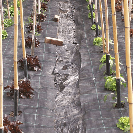 Plasa antiburuieni, 1.57 x 100 m