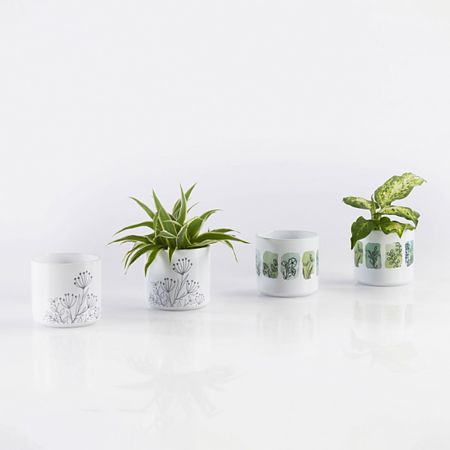 Ghiveci SK Las Vegas Ornaments, ceramica, alb cu print, diametru 8 cm, 7 cm