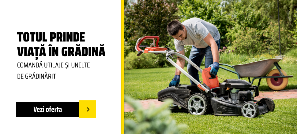 Curte si gradina