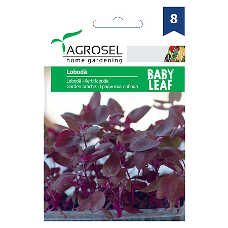 Seminte loboda rosie Agrosel, 2 g