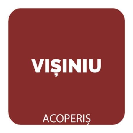 Vopsea Oskar Direct pe Acoperis, visiniu, exterior, 0.75 l