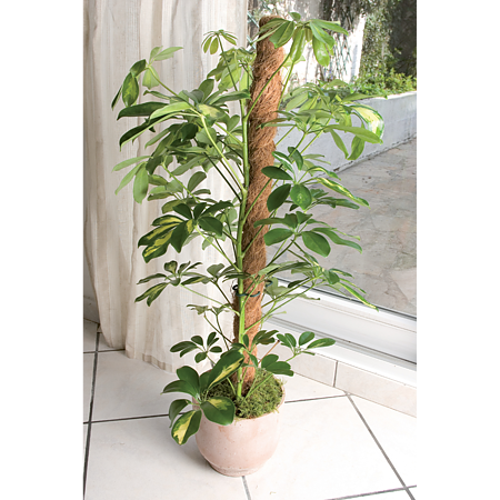 Tutor cocos Nortene, lemn, Ø30 cm, 100 cm
