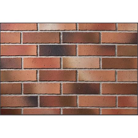 Caramida aparenta Cemacon DR6204, interior/exterior, roscat, grosime 9 mm, 240 x 71 mm