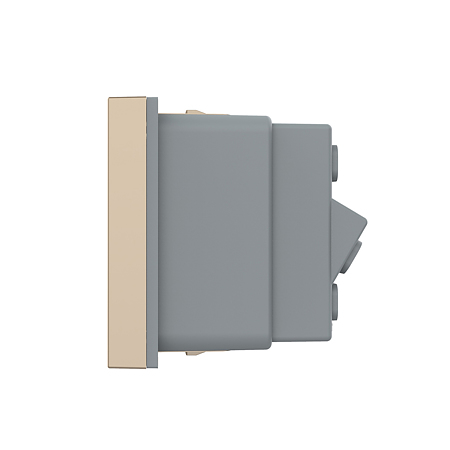 Modul priza simpla standard italian Livolo VL-FCTL16A-1AP, policarbonat, auriu