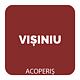 Vopsea Oskar Direct pe acoperis, visiniu, exterior, 10 l