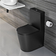 Mecanism WC incastrat Wirquin, cu dubla actionare,3/6 litri, buton negru, cu flotor lateral, racord 2 1/2", plastic