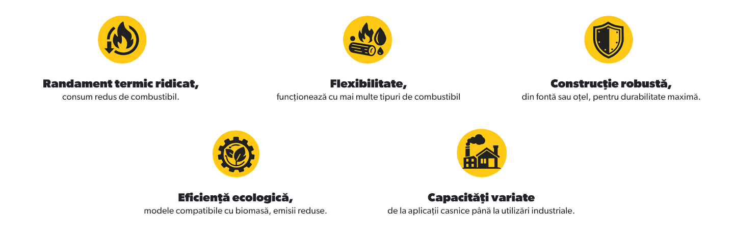 Caracteristici cazane termice