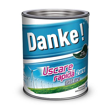 Email Danke! Uscare Rapida, pentru lemn, metal, interior/exterior, verde RAL 6005, 2.5 l
