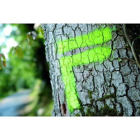 Marker forestier fluorescent pe termen scurt Soppec, verde, 500 ml