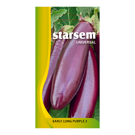 Seminte de vinete, Starsem Early Long Purple 3