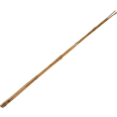 3 Tutori din bambus, 120 cm, 10-12 mm
