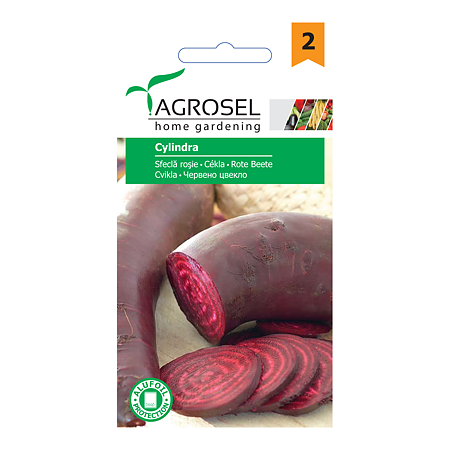 Seminte de sfecla rosie, Agrosel Cylindra