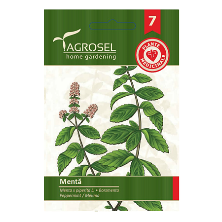 Seminte menta Agrosel, 0.2 g
